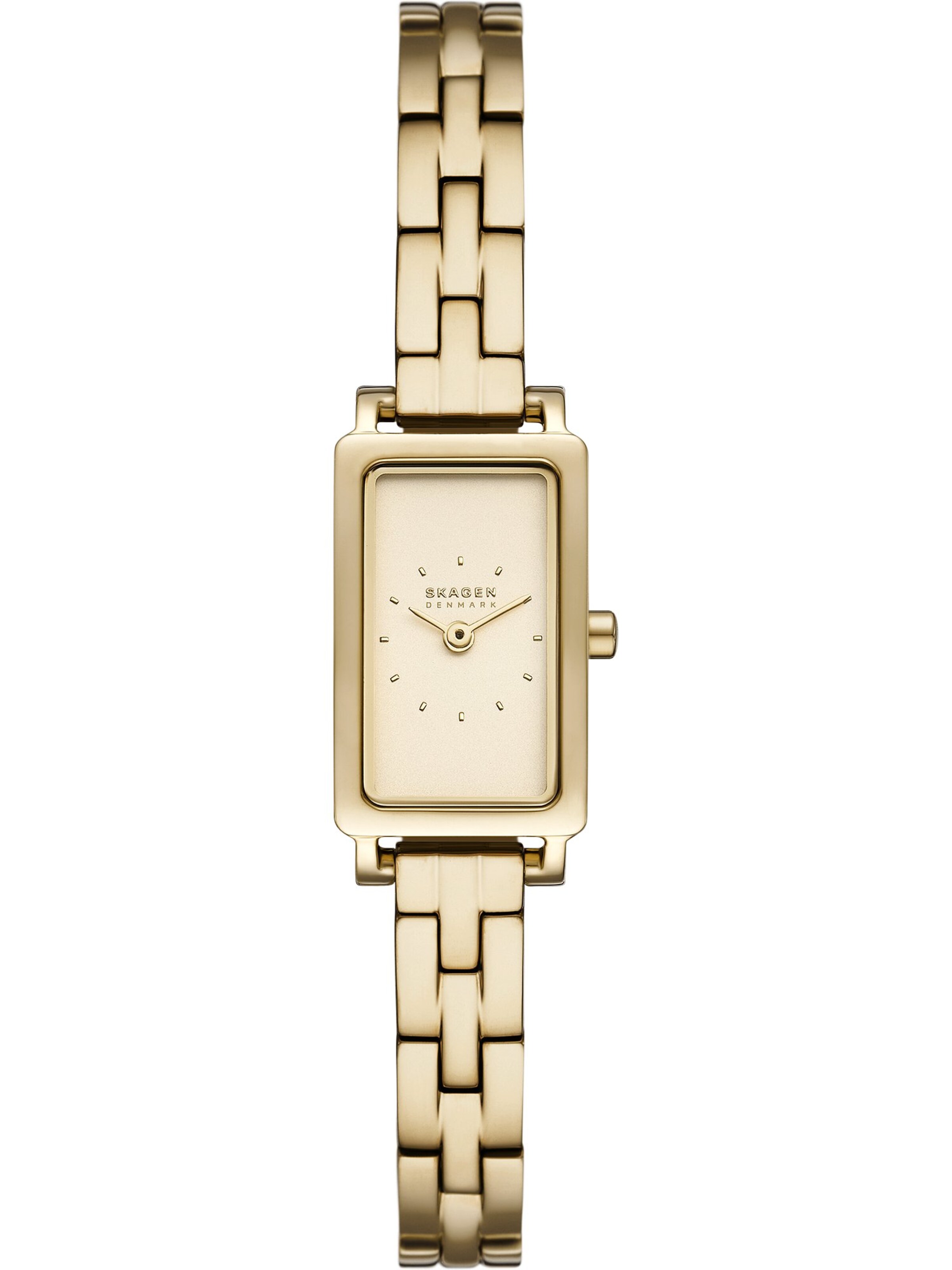 SKAGEN Золотые часы Analog
SKAGEN Золотые часы Analog