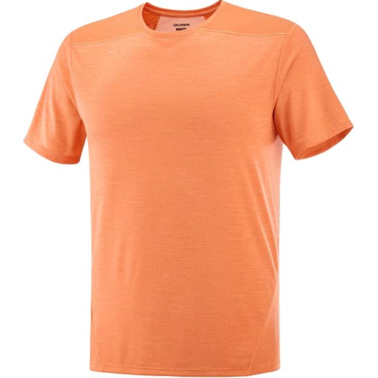 Salomon Футболки OUTLINE мужские, оранжевые, с круглым вырезом, умеренно прямой крой
Salomon Футболки OUTLINE мужские, оранжевые, с круглым вырезом, умеренно прямой крой