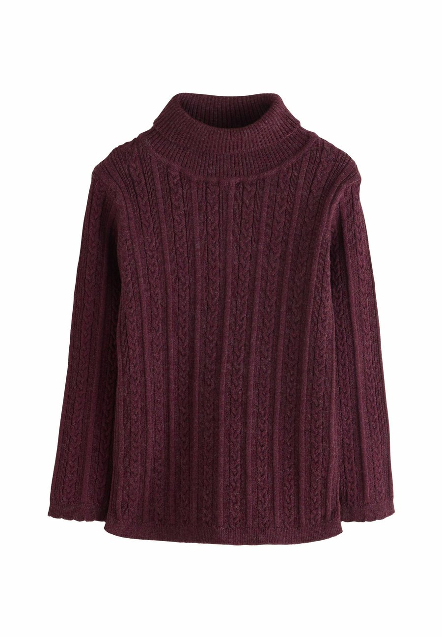 Джемпер Next REGULAR FIT-ROLL NECK, Purple
Джемпер Next REGULAR FIT-ROLL NECK, Purple
