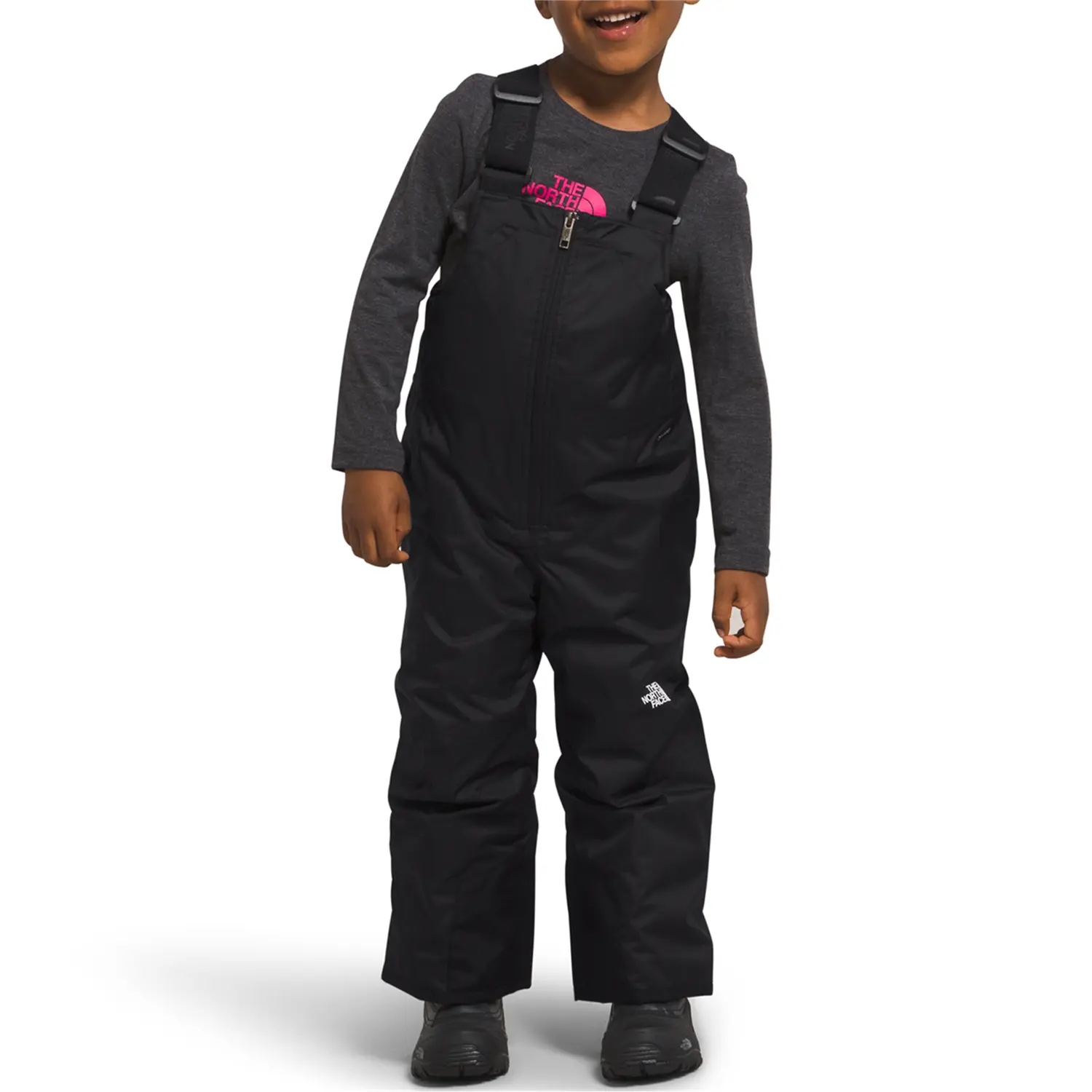 Горнолыжные брюки The North Face Freedom Insulated, черный
Горнолыжные брюки The North Face Freedom Insulated, черный