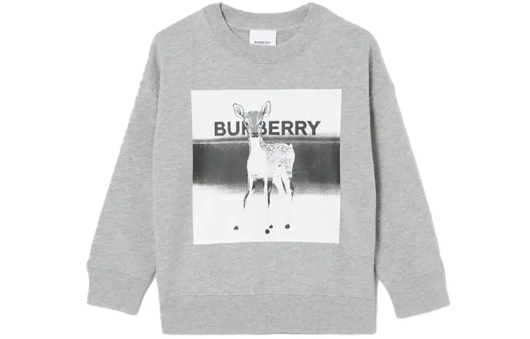 Детский свитшот Burberry, серый
Детский свитшот Burberry, серый