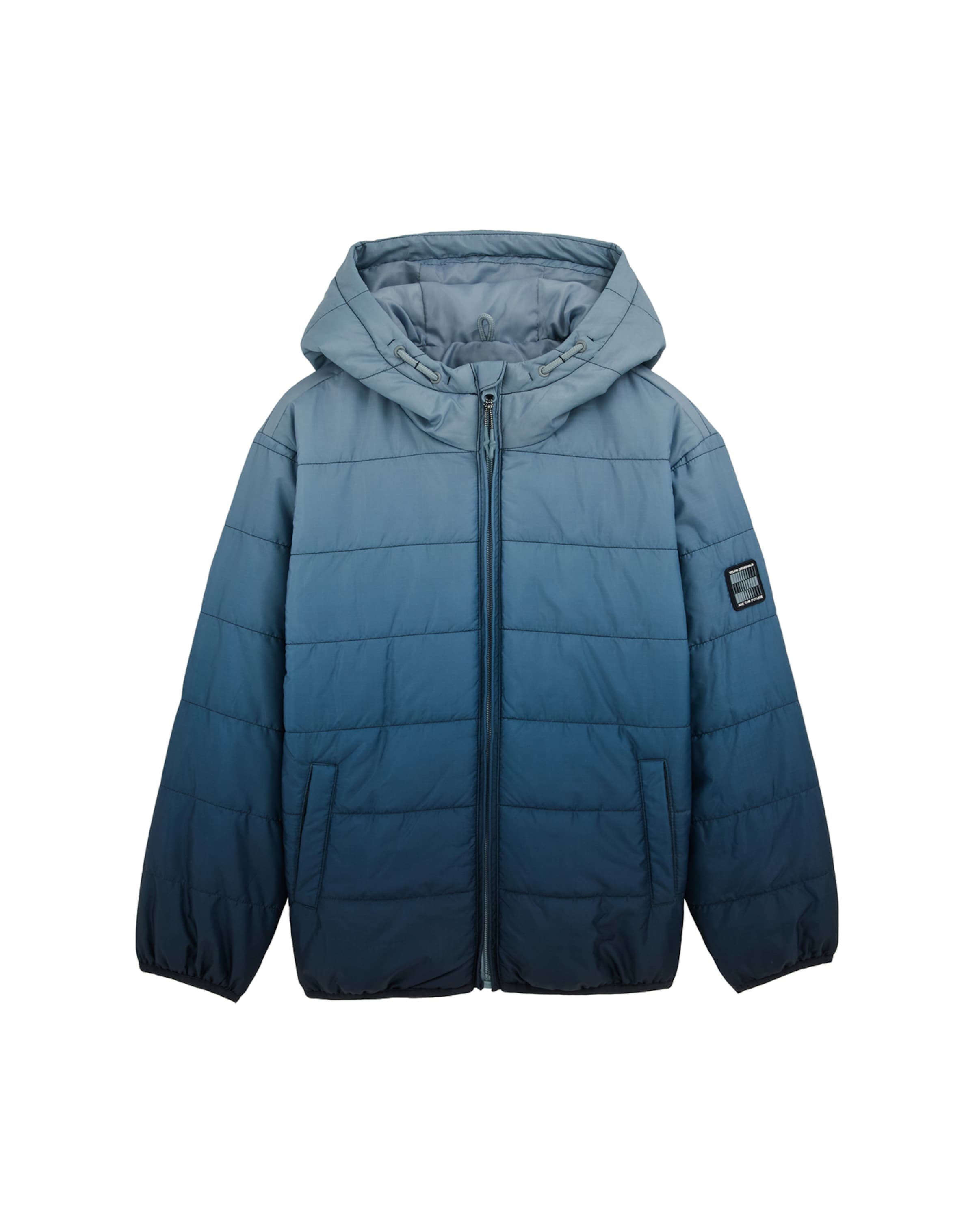 WE Fashion Куртка для межсезонья в цветах Smoke Blue, Sky Blue, Dark Blue
WE Fashion Куртка для межсезонья в цветах Smoke Blue, Sky Blue, Dark Blue