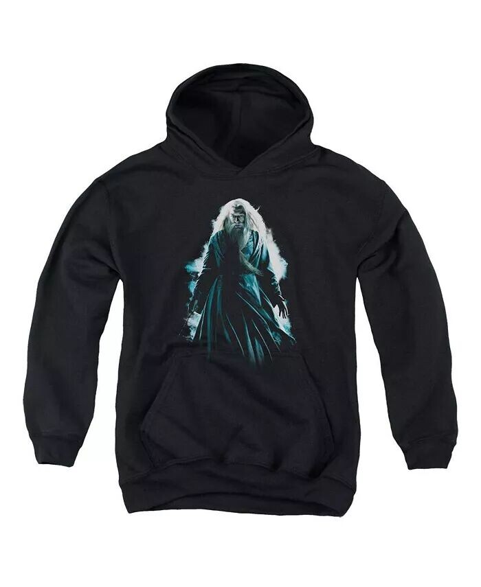 Толстовка с капюшоном Dumbledore Burst для мальчиков Harry Potter, черный
Толстовка с капюшоном Dumbledore Burst для мальчиков Harry Potter, черный