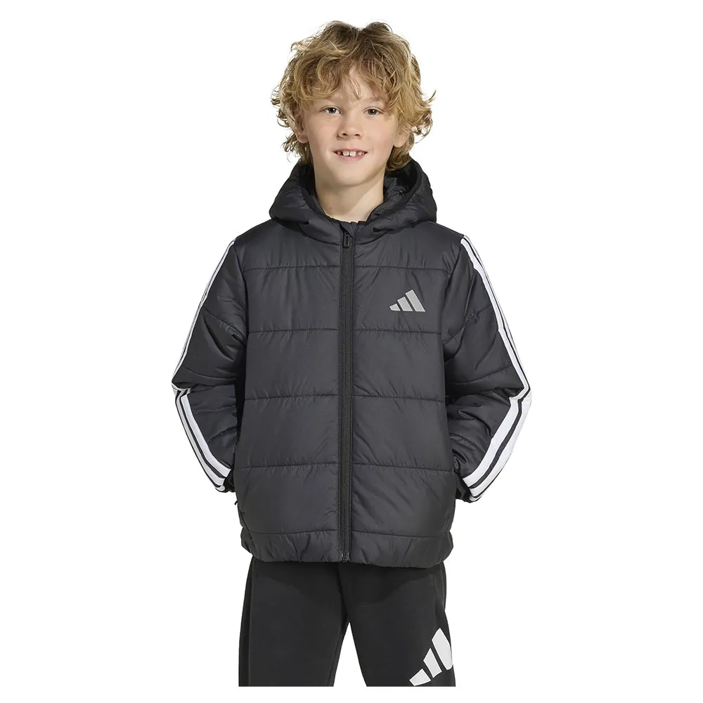 Куртка adidas Essentials 3 Stripes Padded, черный
Куртка adidas Essentials 3 Stripes Padded, черный