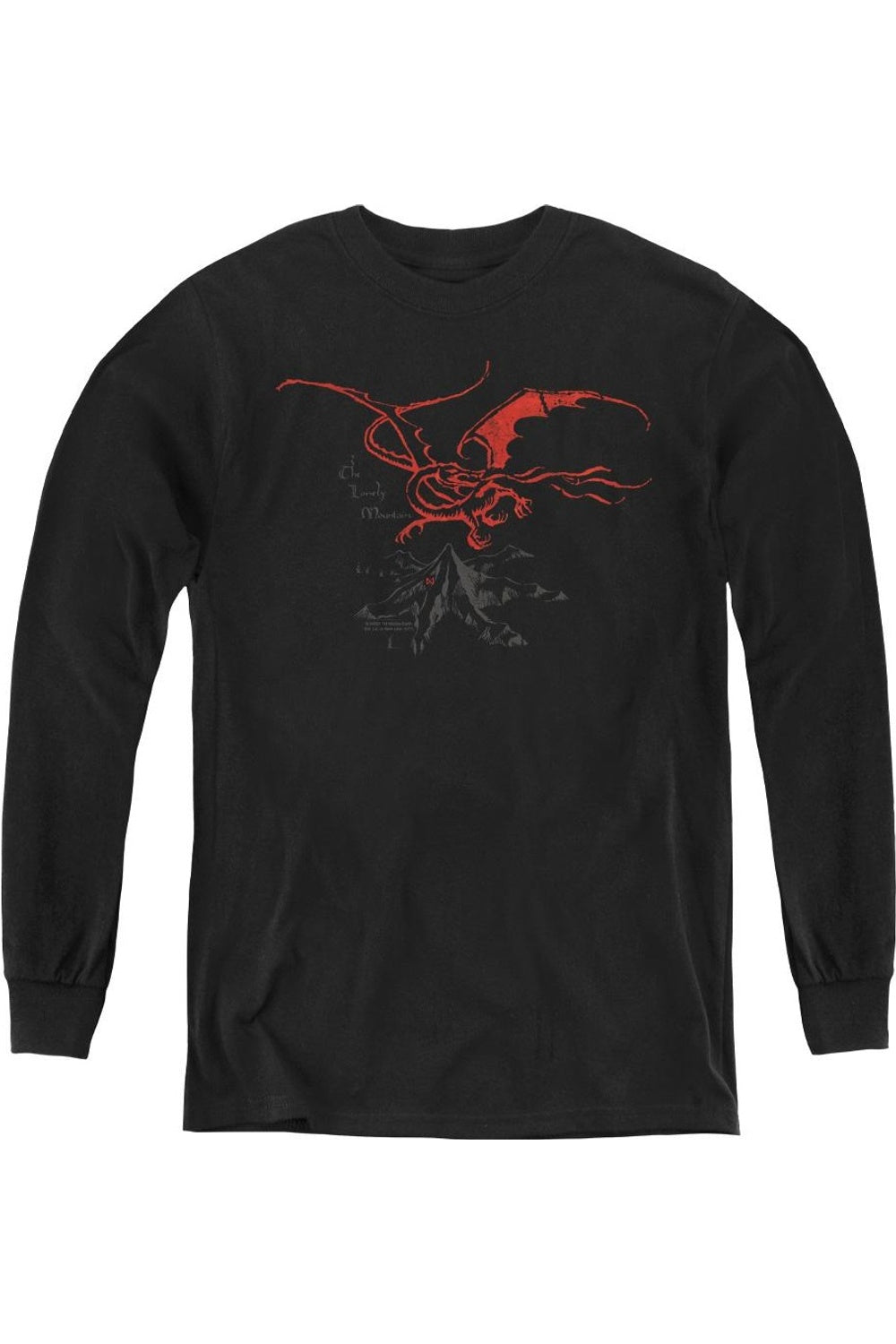 Футболка с длинным рукавом The Hobbit Smaug для детей Gildan, черный
Футболка с длинным рукавом The Hobbit Smaug для детей Gildan, черный