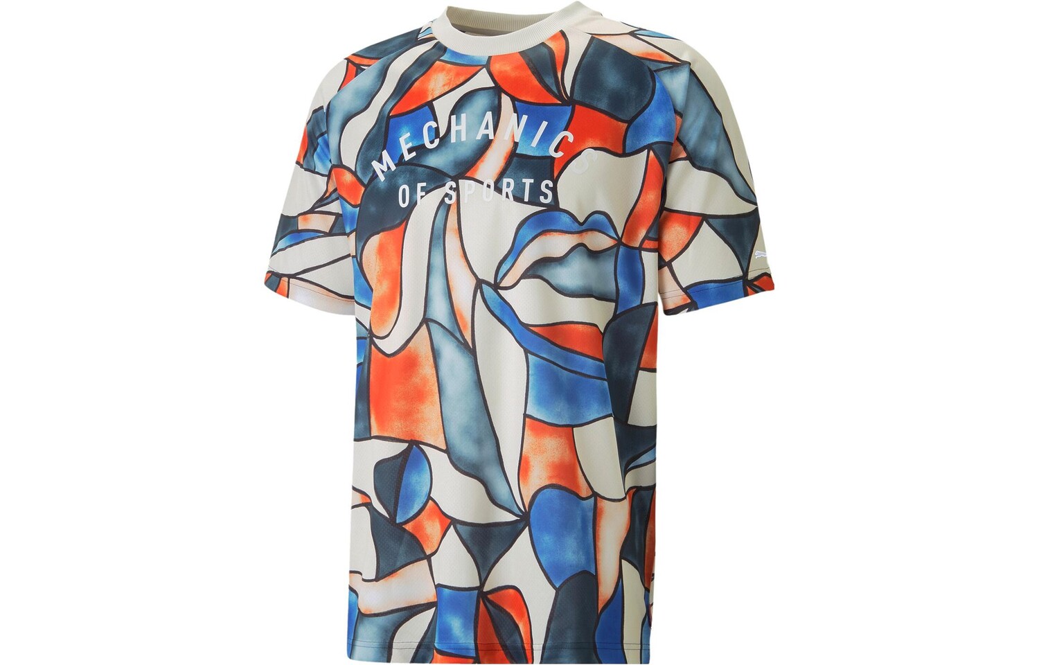 Футболка мужская кирпично-красная Puma, красный
Футболка мужская кирпично-красная Puma, красный