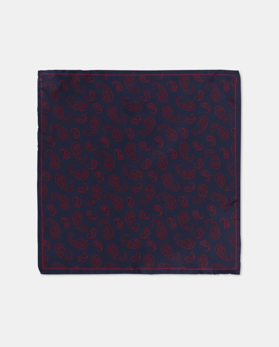 Шелковый карманный платок для мужчин Emidio Tucci, темно-синий
Шелковый карманный платок для мужчин Emidio Tucci, темно-синий