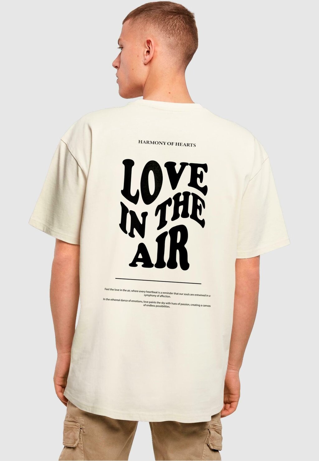 Футболка с принтом Love In The Air Heavy Oversize Merchcode, цвет sand
Футболка с принтом Love In The Air Heavy Oversize Merchcode, цвет sand