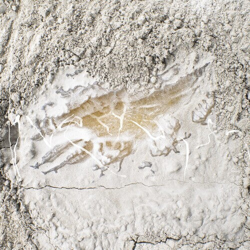 Виниловая пластинка Kawchuk, Jonathan: Everywhen
Виниловая пластинка Kawchuk, Jonathan: Everywhen