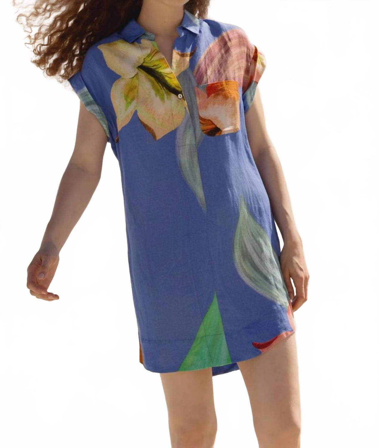 Женское платье-рубашка в гибискусово-голубом цвете Oliphant
Женское платье-рубашка в гибискусово-голубом цвете Oliphant