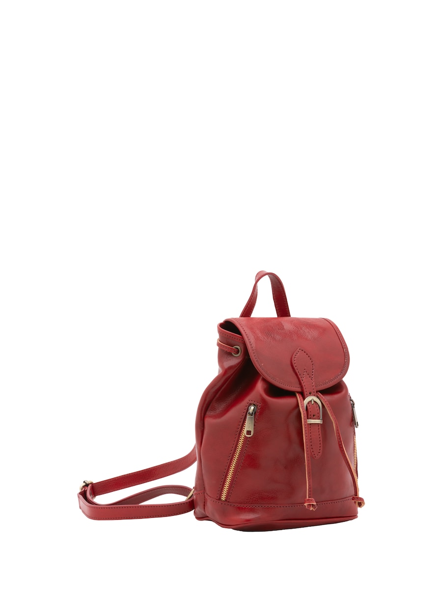 Рюкзак Viola Castellani, красный
Рюкзак Viola Castellani, красный