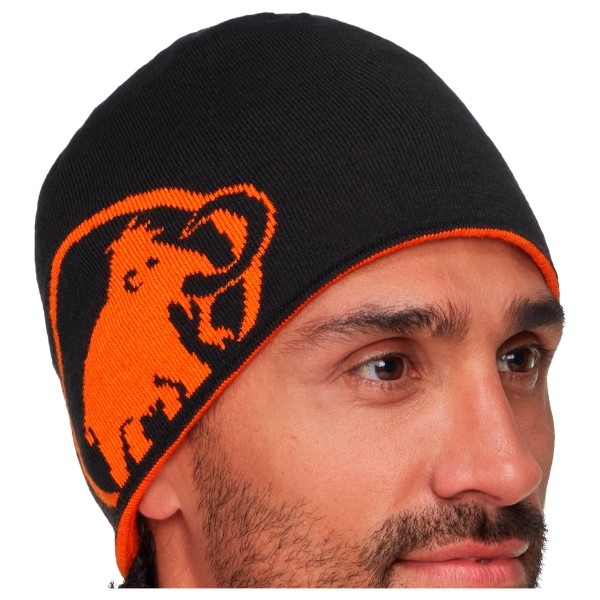 Шапочка с логотипом Mammut Mammut, мультиколор
Шапочка с логотипом Mammut Mammut, мультиколор