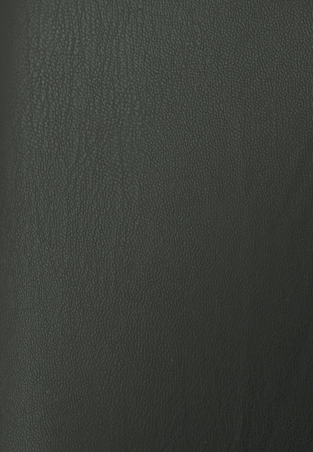 Леггинсы JXCALLIE MEGAN Leggings JJXX, черный
Леггинсы JXCALLIE MEGAN Leggings JJXX, черный