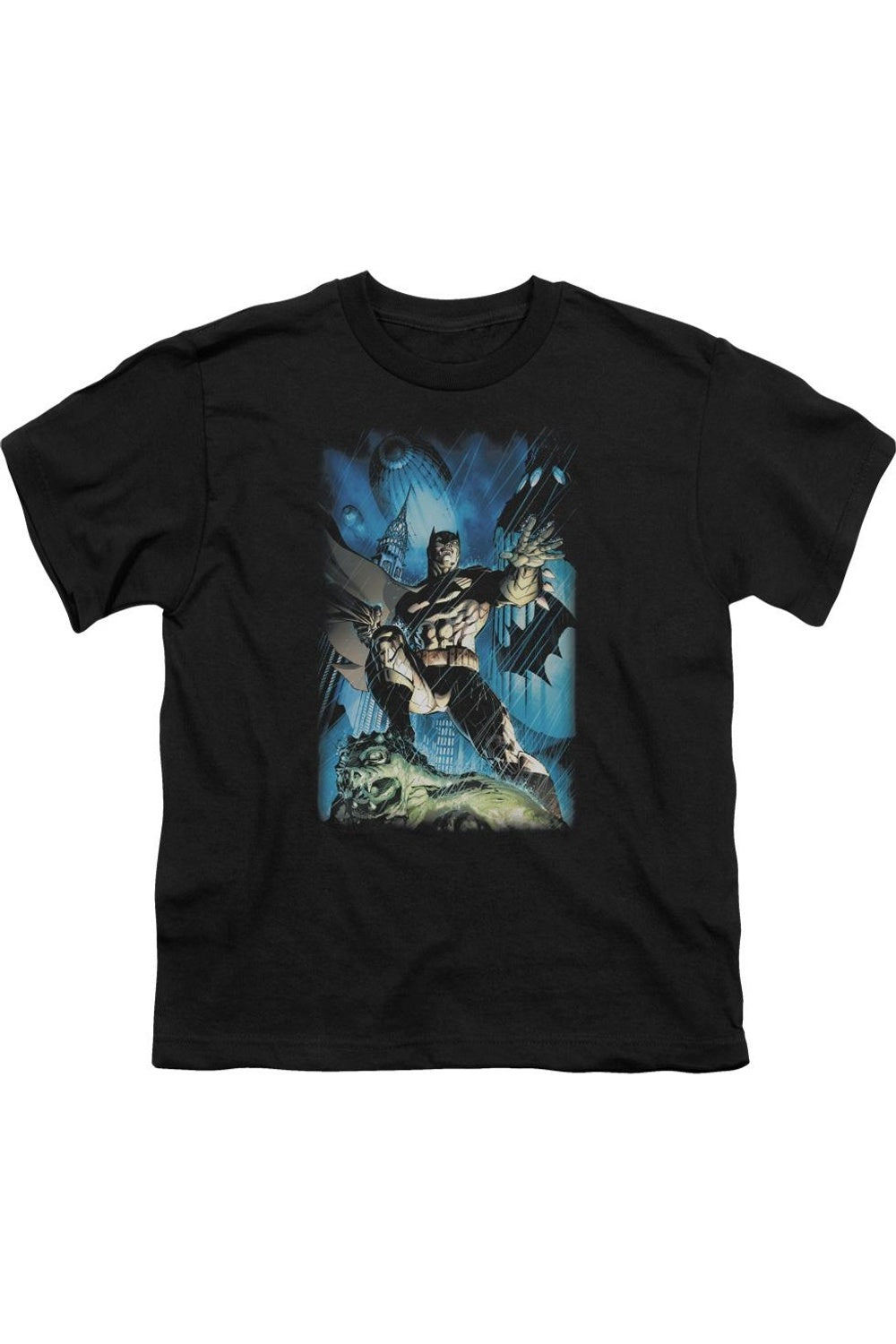 Футболка с коротким рукавом для подростков Batman Stormy Dark Knight Gildan, черный
Футболка с коротким рукавом для подростков Batman Stormy Dark Knight Gildan, черный