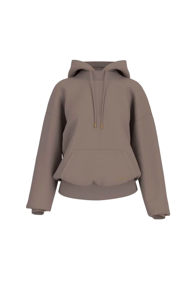 Толстовка с капюшоном толстовка с капюшоном подводное плавание Guess, коричневый
Толстовка с капюшоном толстовка с капюшоном подводное плавание Guess, коричневый