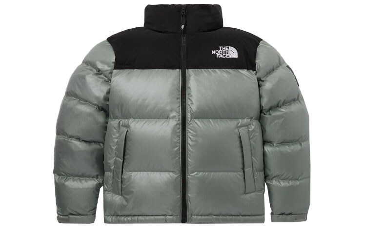 Коллекция 1996 года Куртка унисекс зеленая The North Face, зеленый
Коллекция 1996 года Куртка унисекс зеленая The North Face, зеленый