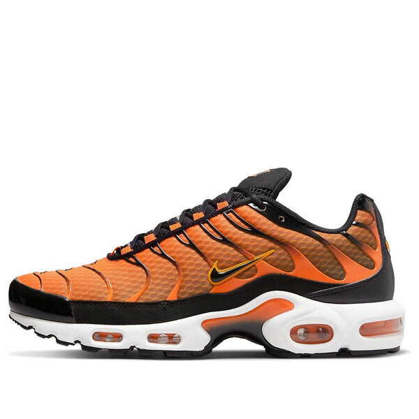 Кроссовки air max plus Nike, черный
Кроссовки air max plus Nike, черный