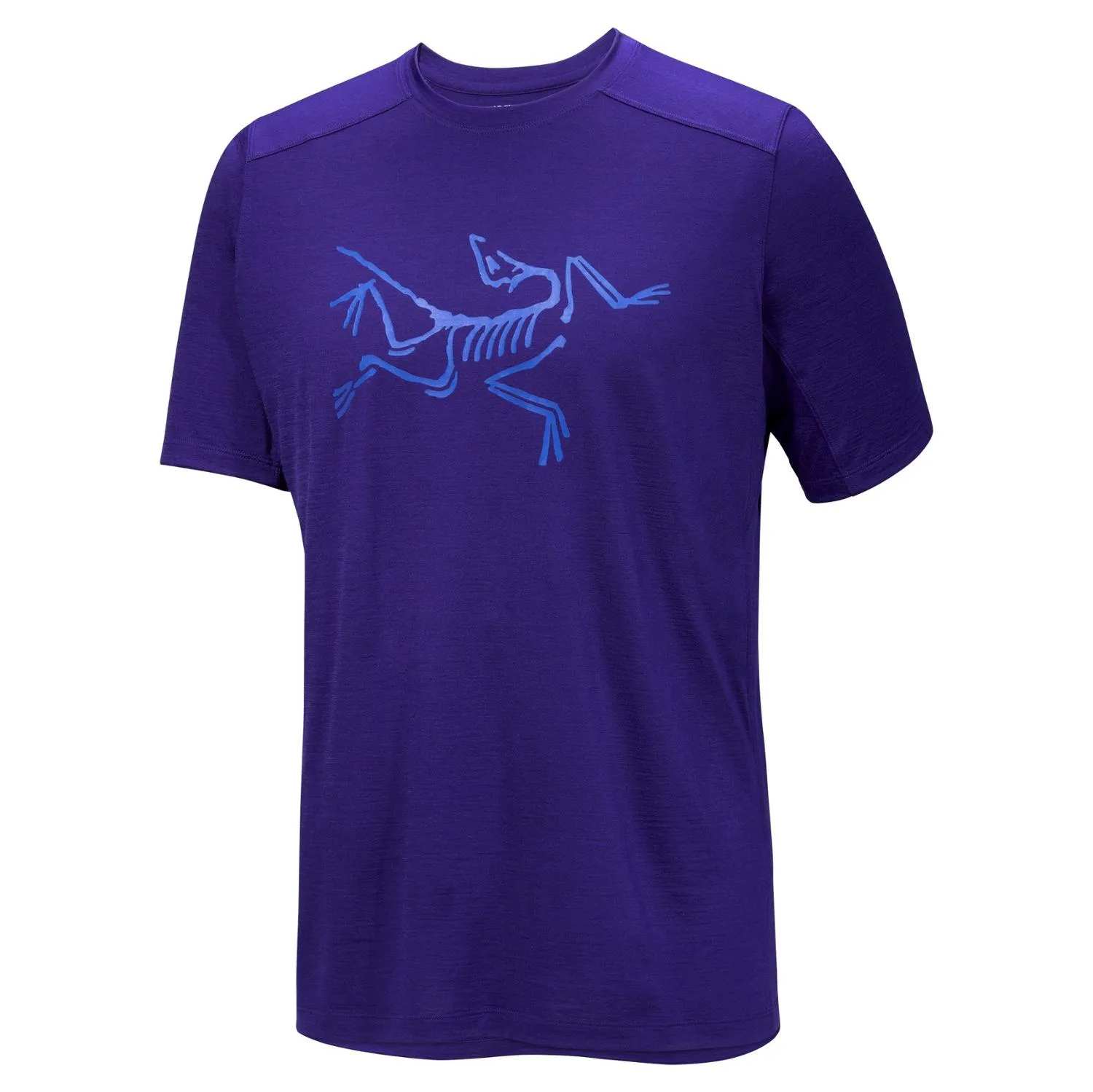 Футболка базового слоя с логотипом Ionia из мериносовой шерсти - мужская Arc'teryx, Soulsonic/Electra
Футболка базового слоя с логотипом Ionia из мериносовой шерсти - мужская Arc'teryx, Soulsonic/Electra