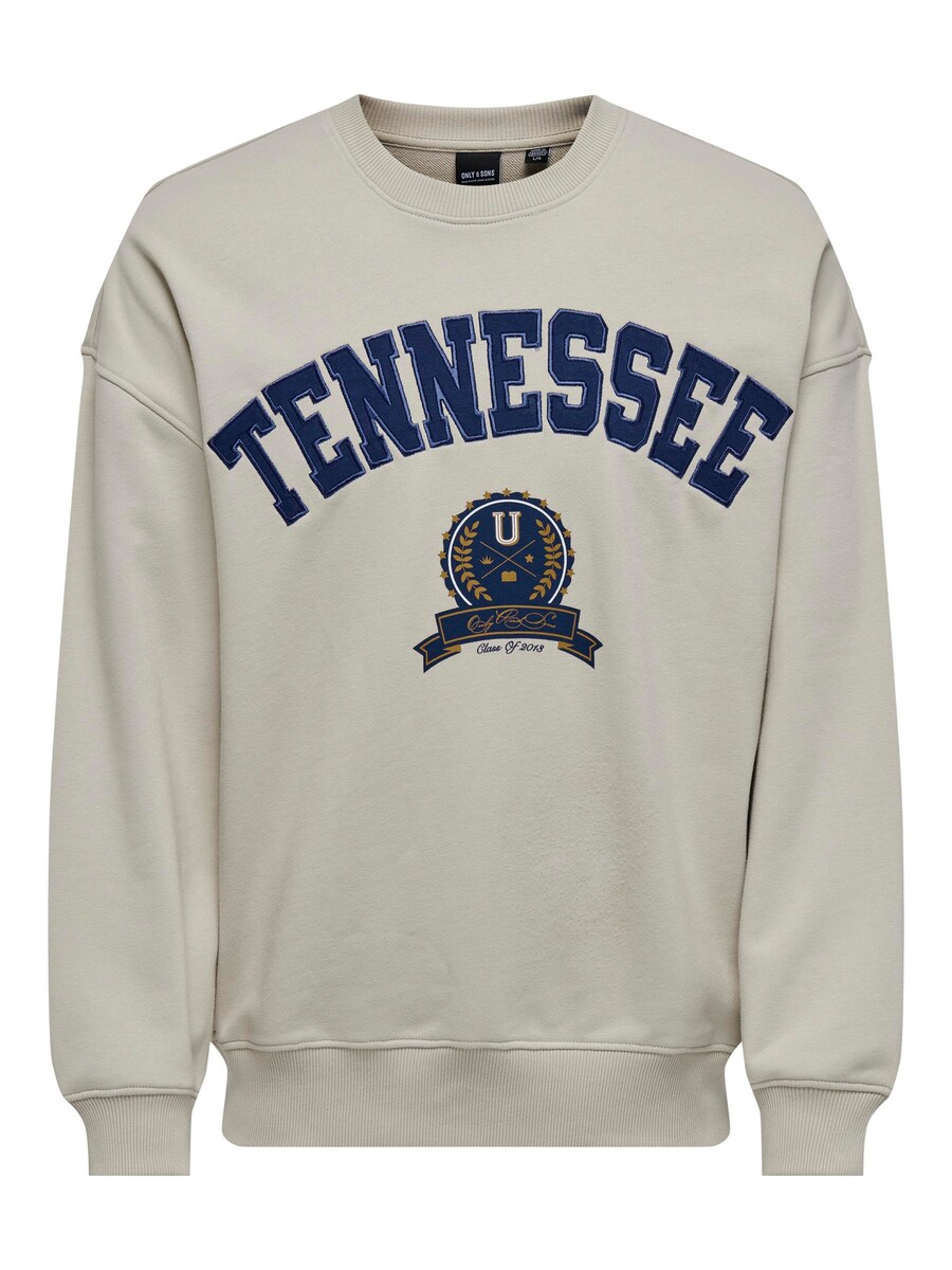 Толстовка Only & Sons Lawson, белый
Толстовка Only & Sons Lawson, белый