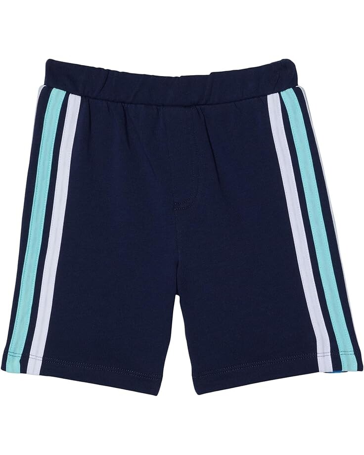 Шорты Chaser Coastin' Stripe Shorts, цвет Coastin Stripe
Шорты Chaser Coastin' Stripe Shorts, цвет Coastin Stripe