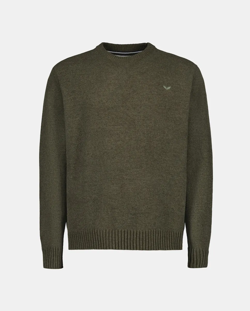 Мужской джемпер из однотонного плюшевого трикотажа с логотипом Green Coast, хаки
Мужской джемпер из однотонного плюшевого трикотажа с логотипом Green Coast, хаки