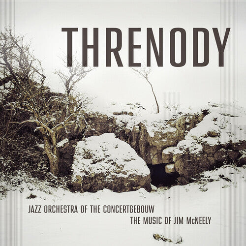 Виниловая пластинка McNeely, Jim: Threnody
Виниловая пластинка McNeely, Jim: Threnody