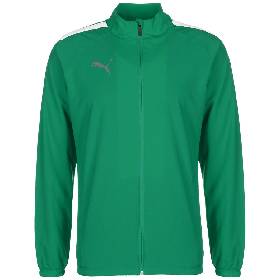 Тренировочная куртка PUMA TeamLiga, зеленый
Тренировочная куртка PUMA TeamLiga, зеленый