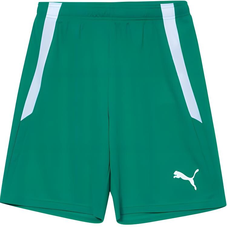 Повседневные шорты мужские зеленые перцевидные зеленые Puma, зеленый
Повседневные шорты мужские зеленые перцевидные зеленые Puma, зеленый