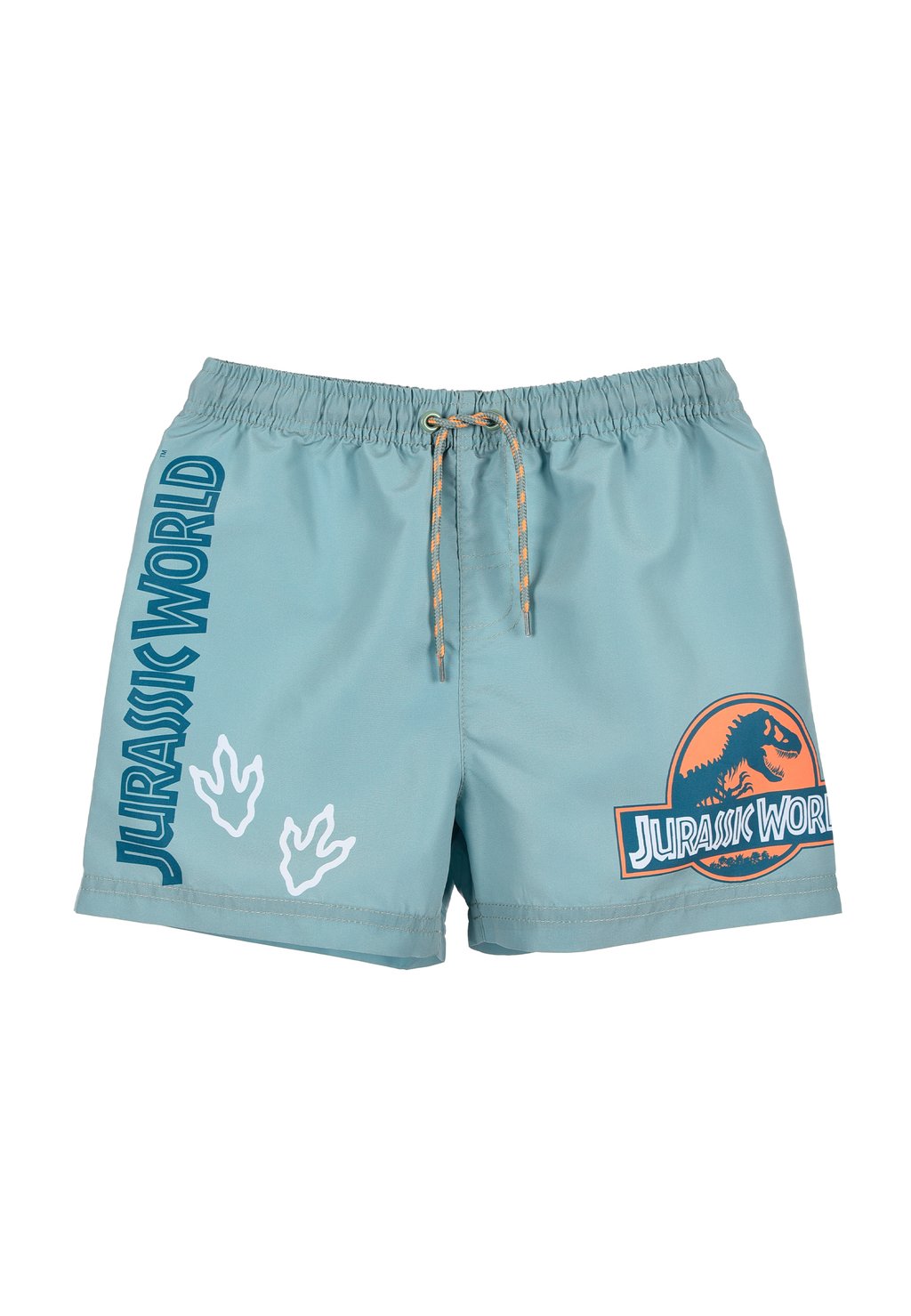 Пляжные шорты DINOSAURIER Jurassic World, зеленый 
Пляжные шорты DINOSAURIER Jurassic World, зеленый