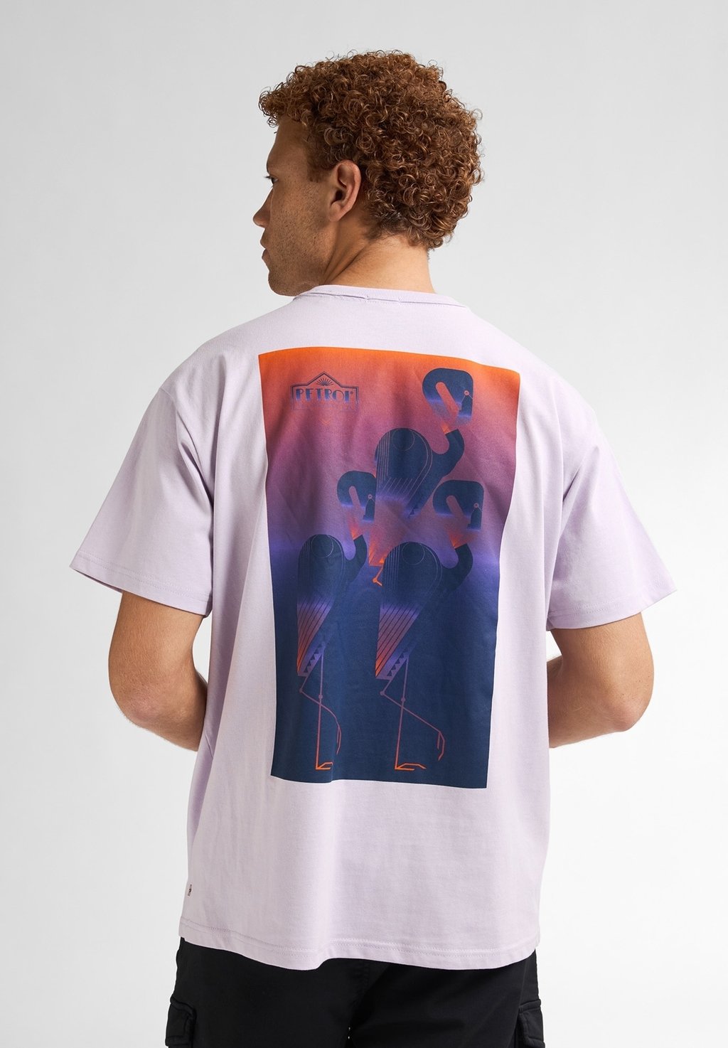 Футболка с принтом Petrol Industries, сиреневый
Футболка с принтом Petrol Industries, сиреневый