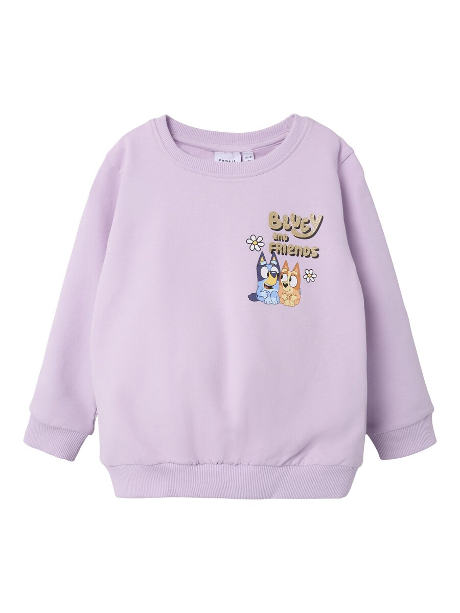 Толстовка NAME IT Bluey, цвет Crimson
Толстовка NAME IT Bluey, цвет Crimson