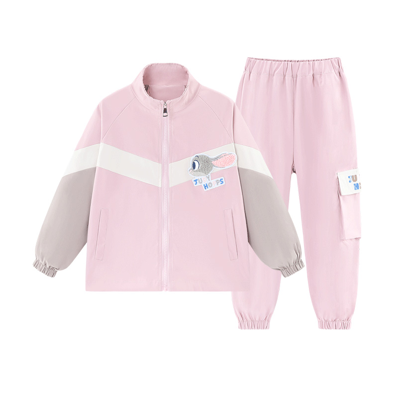 Disney Повседневный спортивный костюм розовый для детей 3-7 лет
Disney Повседневный спортивный костюм розовый для детей 3-7 лет