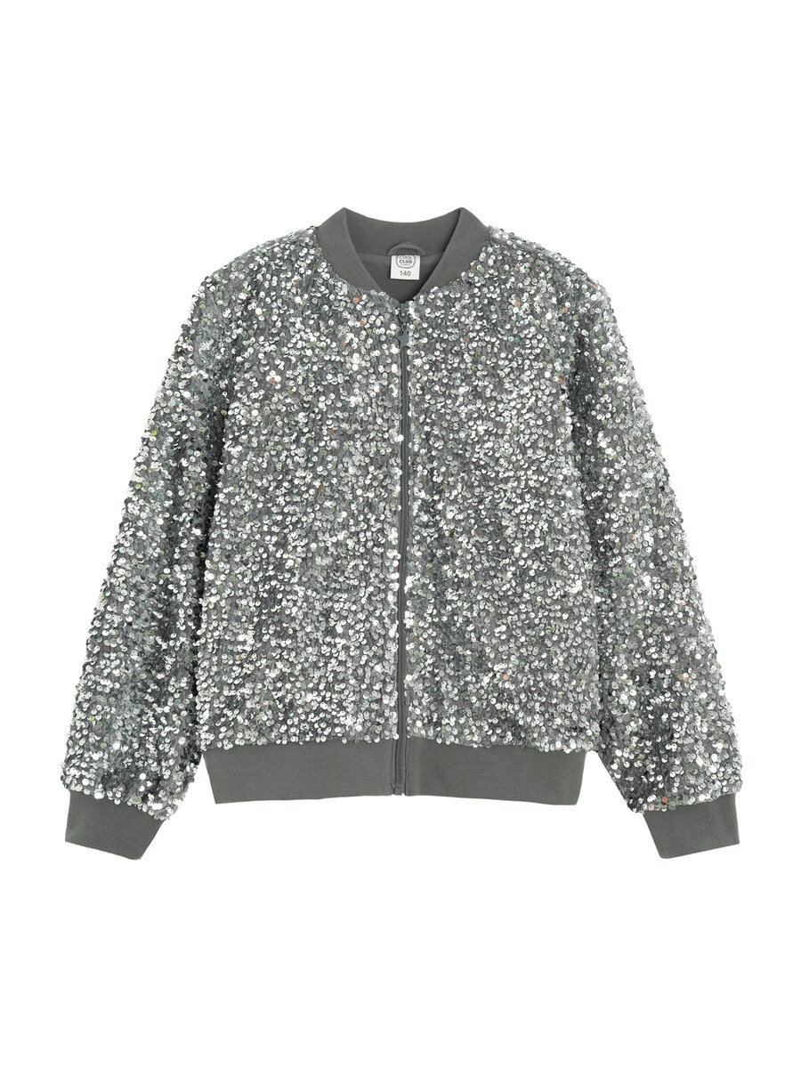 Толстовка с капюшоном на молнии Cool Club, серебряный
Толстовка с капюшоном на молнии Cool Club, серебряный