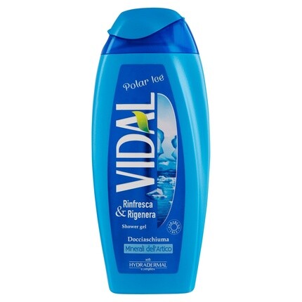 Освежающий гель для душа Arctic Minerals 250 мл Vidal
Освежающий гель для душа Arctic Minerals 250 мл Vidal