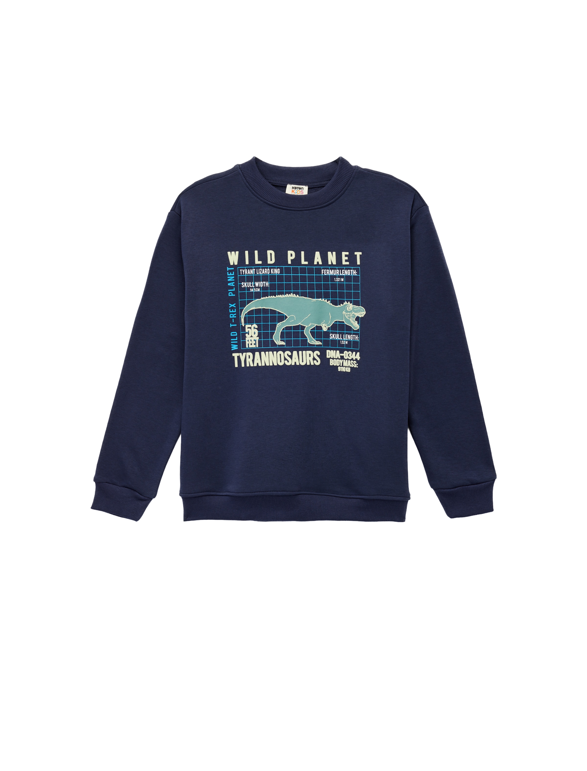 Koton Толстовка в цвете Marine Blue, Azure, Cyan Blue
Koton Толстовка в цвете Marine Blue, Azure, Cyan Blue