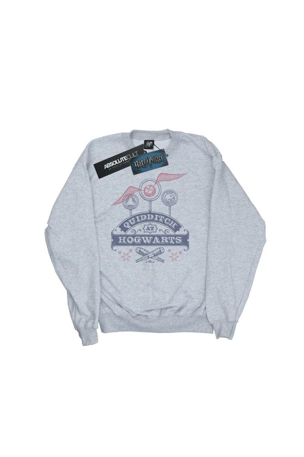Толстовка для квиддича в Хогвартсе Harry Potter, серый
Толстовка для квиддича в Хогвартсе Harry Potter, серый