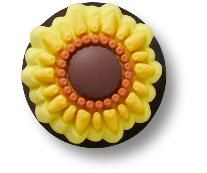 Джиббитсы Sunflower Crocs
Джиббитсы Sunflower Crocs