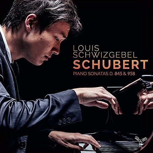 CD диск Schubert / Schwizgebel, Louis: Schubert: Piano Sonatas D845 And D958
CD диск Schubert / Schwizgebel, Louis: Schubert: Piano Sonatas D845 And D958