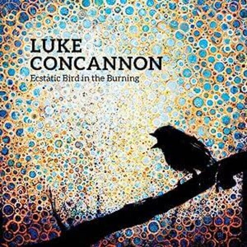 CD диск Concannon, Luke: Ecstatic Bird In The Burning
CD диск Concannon, Luke: Ecstatic Bird In The Burning