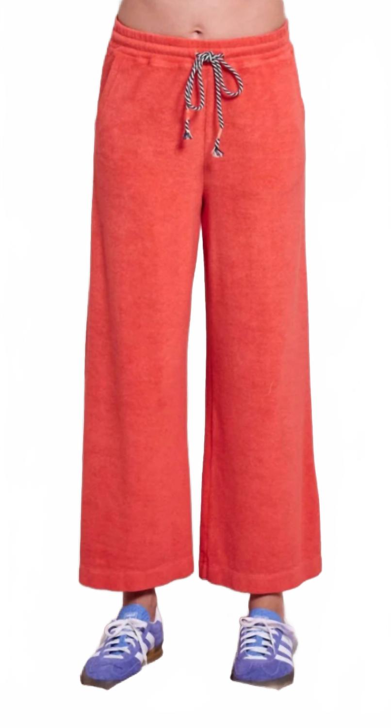 Темно-малиновые укороченные спортивные брюки с петельчатым велюром Sundry
Темно-малиновые укороченные спортивные брюки с петельчатым велюром Sundry