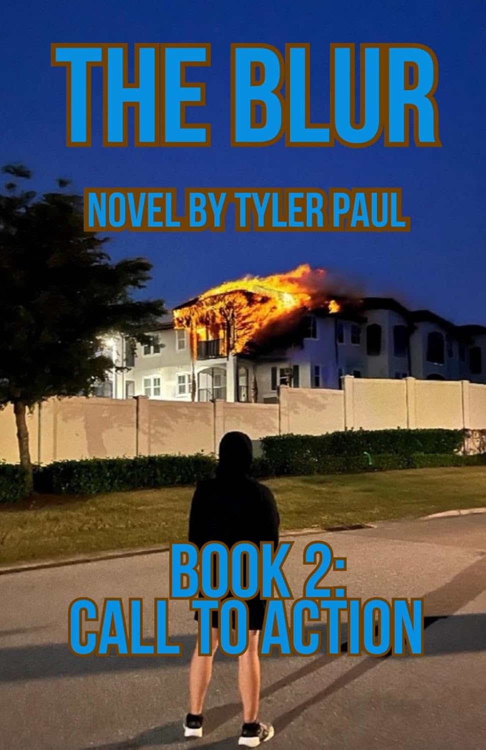 The Blur: Call to Action (The Blur Series) (Independently published)
The Blur: Call to Action (The Blur Series) (Independently published)