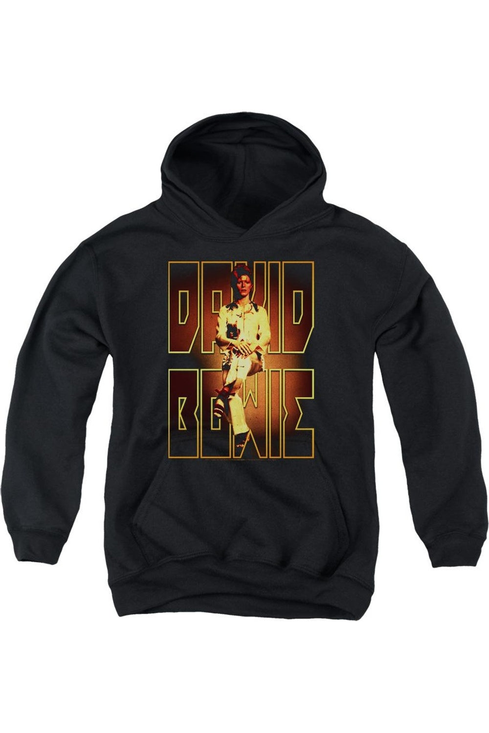 Давид Боуи в худи Perched Youth Pull Over Gildan, черный
Давид Боуи в худи Perched Youth Pull Over Gildan, черный