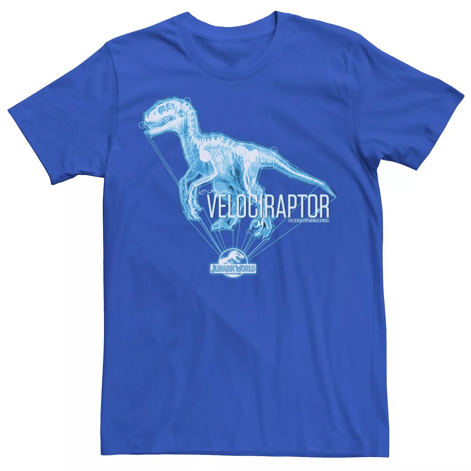 Мужская футболка с голограммой и логотипом Jurassic World Velociraptor Licensed Character
Мужская футболка с голограммой и логотипом Jurassic World Velociraptor Licensed Character