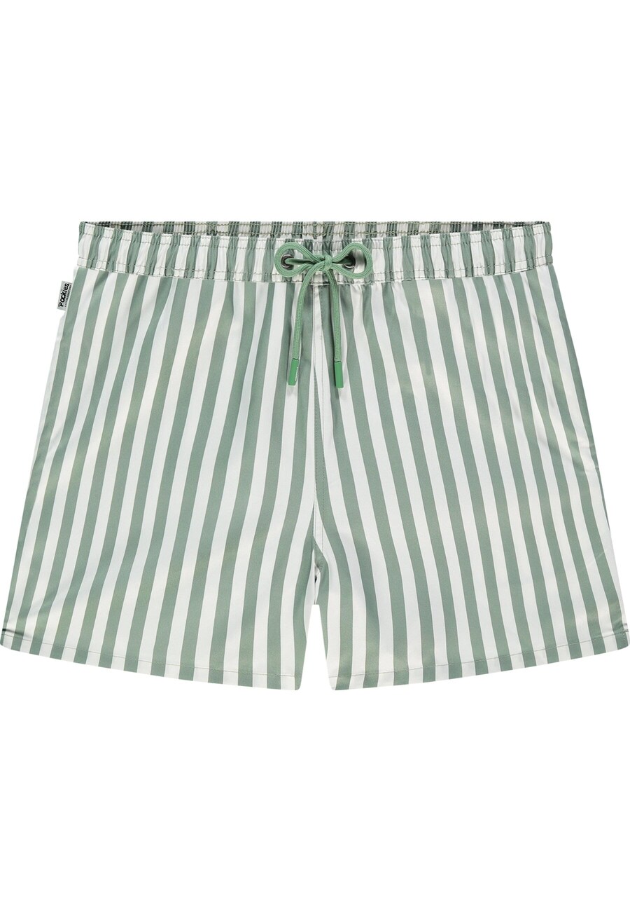 Шорты для серфинга Pockies Thyme, пастельно-зеленый
Шорты для серфинга Pockies Thyme, пастельно-зеленый