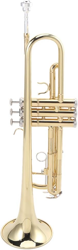 Columbia Мужские штаны Bugaboo Extended, Intense Red
Columbia Мужские штаны Bugaboo Extended, Intense Red