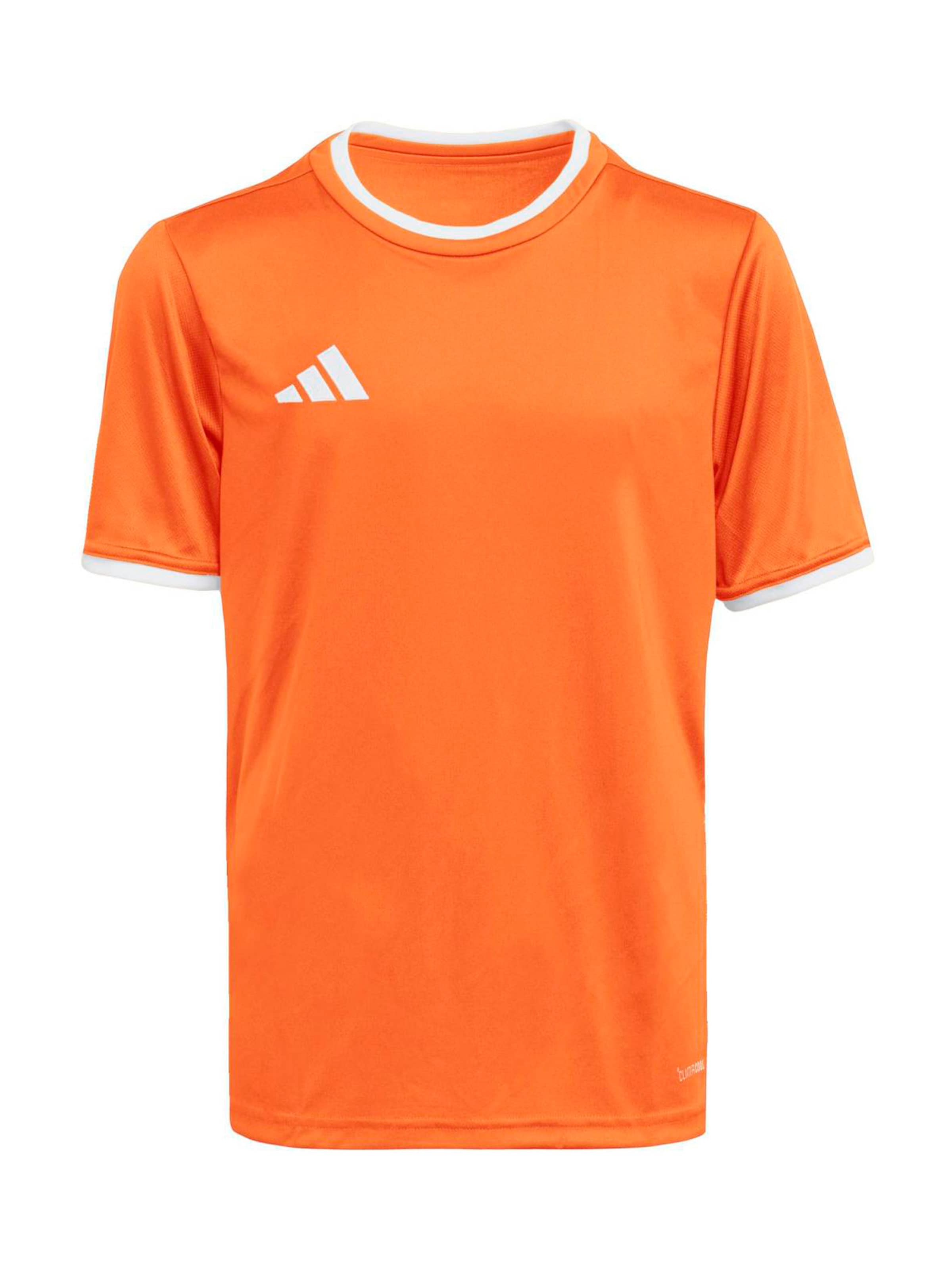 Adidas Performance Футболка Performance 'ENT26' в оранжевом цвете
Adidas Performance Футболка Performance 'ENT26' в оранжевом цвете