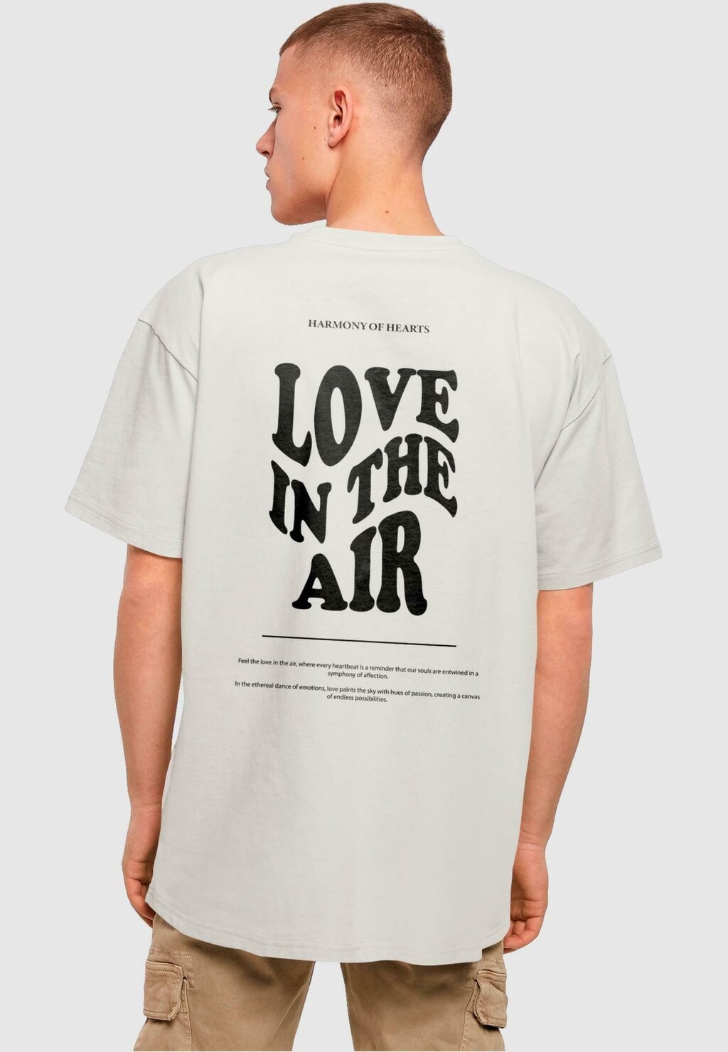 Футболка с принтом Love In The Air Heavy Oversize Merchcode, цвет lightasphalt
Футболка с принтом Love In The Air Heavy Oversize Merchcode, цвет lightasphalt