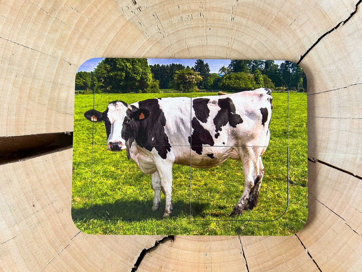 Корова, деревянный пазл с четырьмя элементами, основа с подписью, первый пазл Inna marka
Корова, деревянный пазл с четырьмя элементами, основа с подписью, первый пазл Inna marka