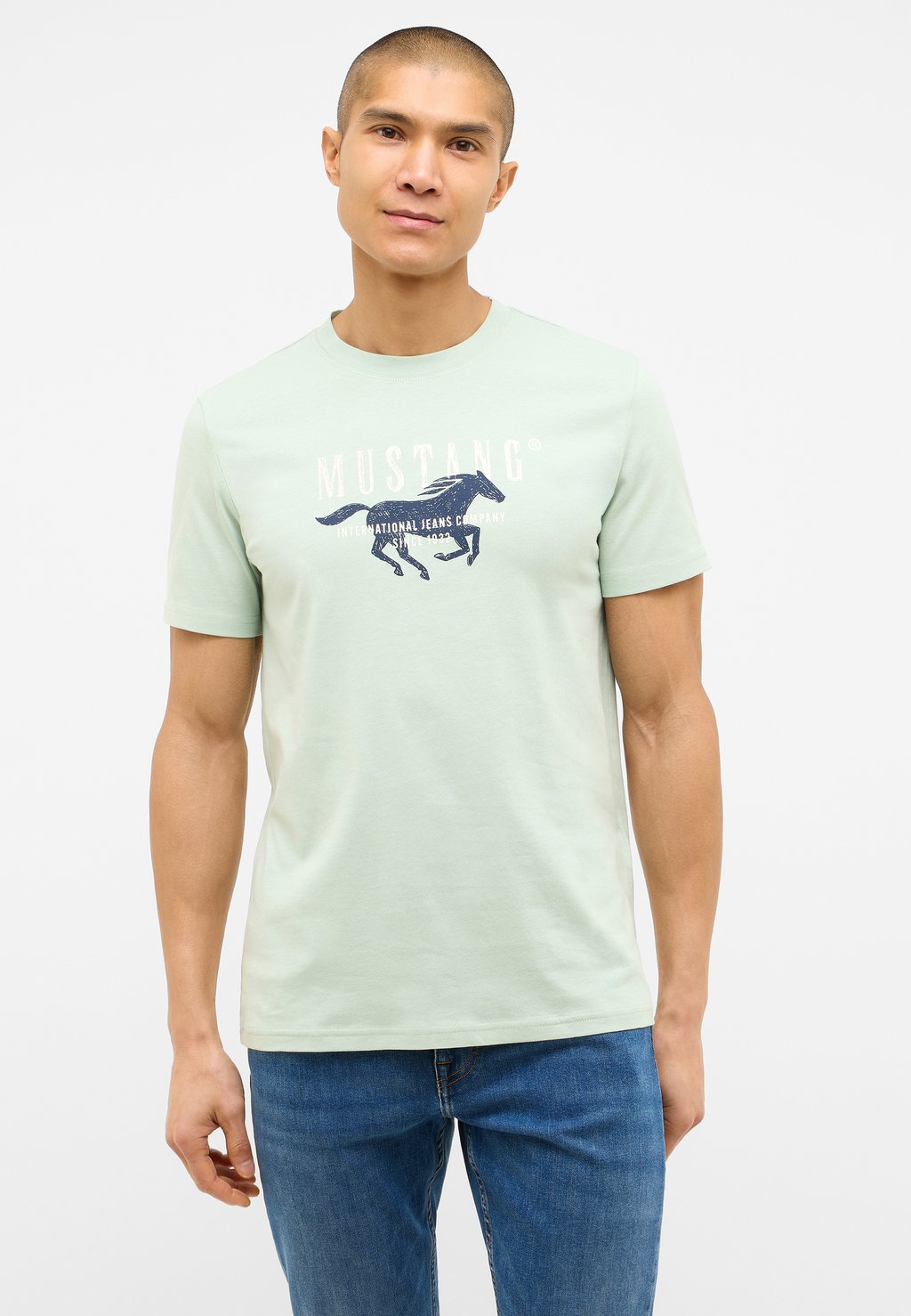 Футболка с принтом Mustang, светло-зеленый
Футболка с принтом Mustang, светло-зеленый