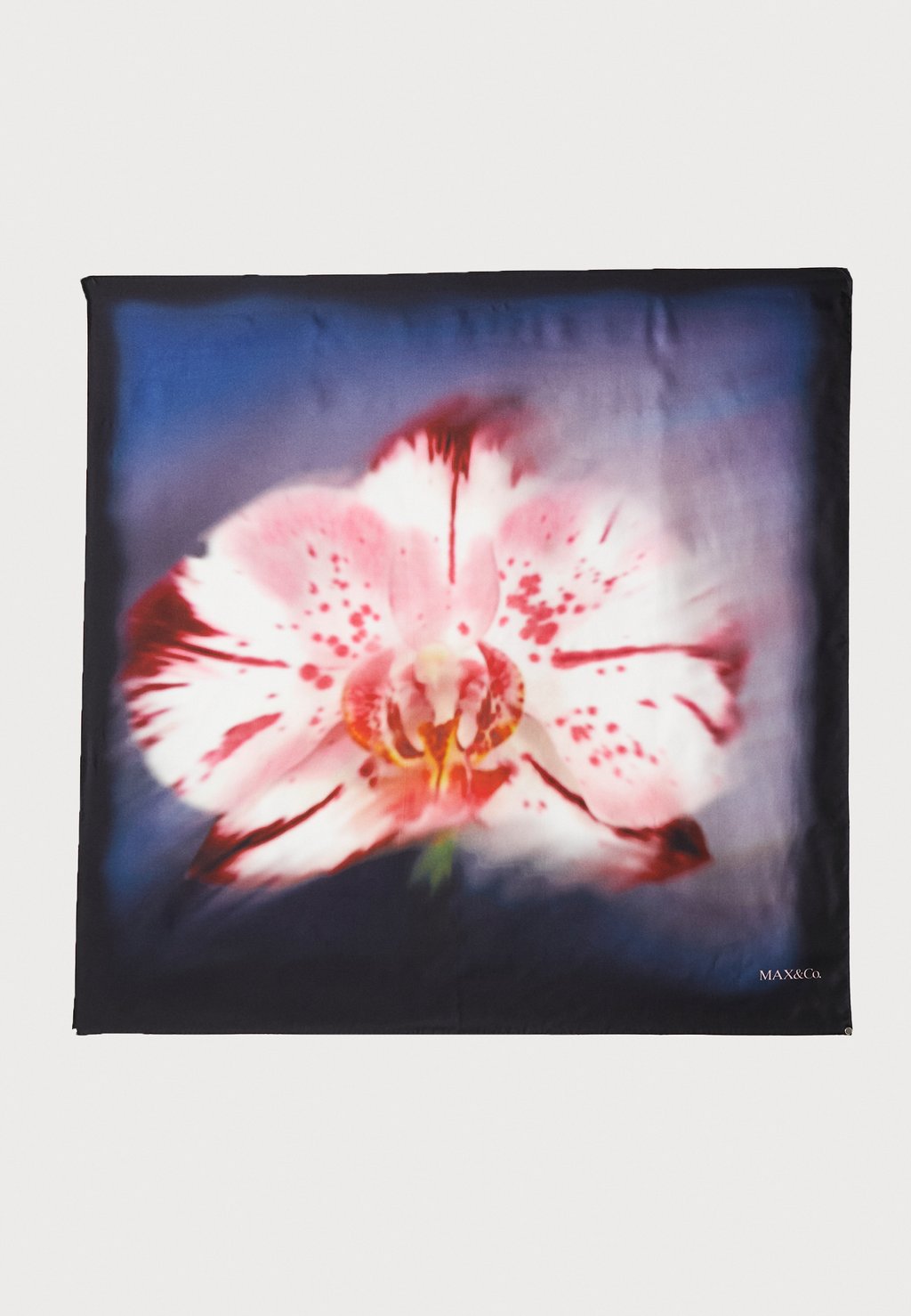 Шарф BATTISTA MAX&Co., светло-розовый
Шарф BATTISTA MAX&Co., светло-розовый